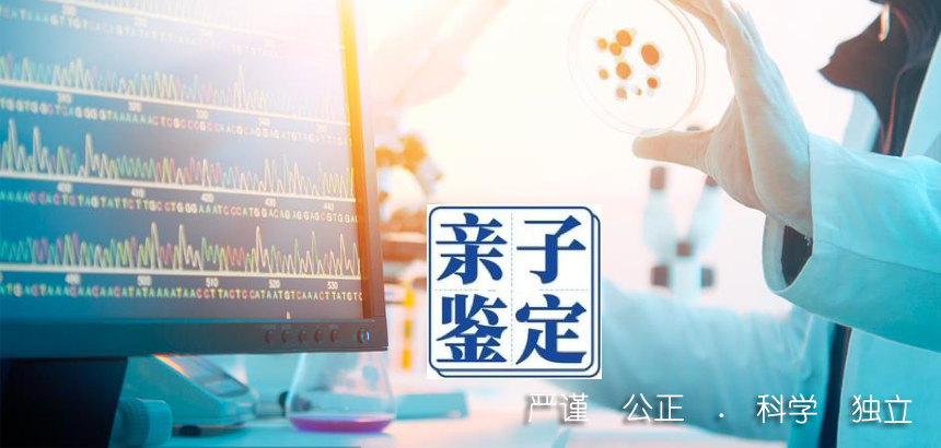 厦门亲子鉴定咨询了解